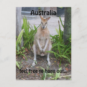 Aussie Boy, postcard