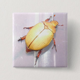 Aussie Christmas Beetle Badge. 15 Cm Square Badge