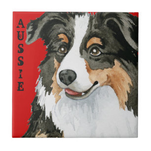 Aussie Colour Block Tile