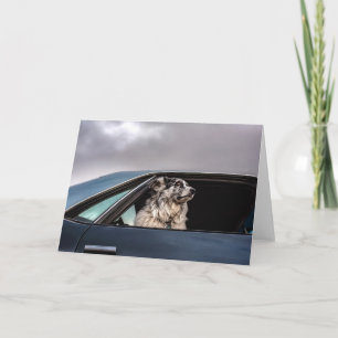 Aussie dog card
