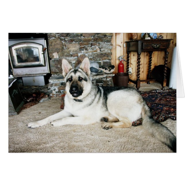 Aussie Full View/Fireplace (Front Horizontal)