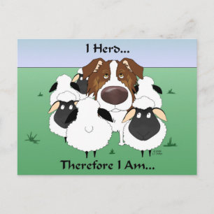 Aussie - I Herd Therefore I Am Postcard
