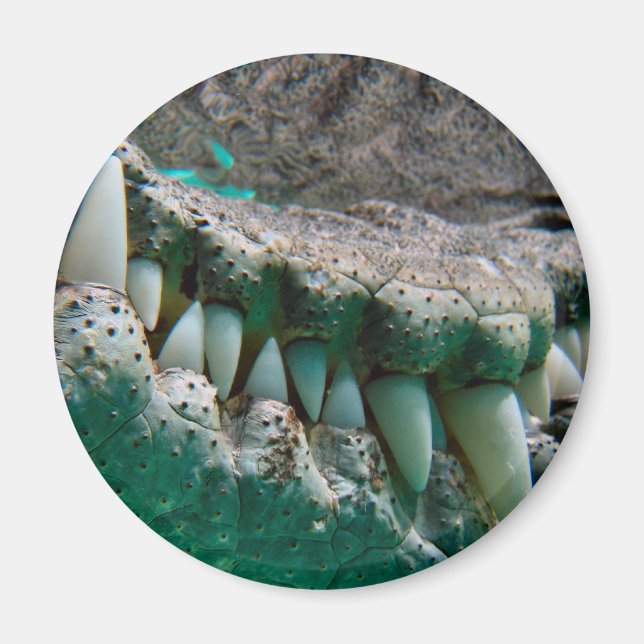 Aussie Icon - Big Croc Terry 2 - Magnet (Front)