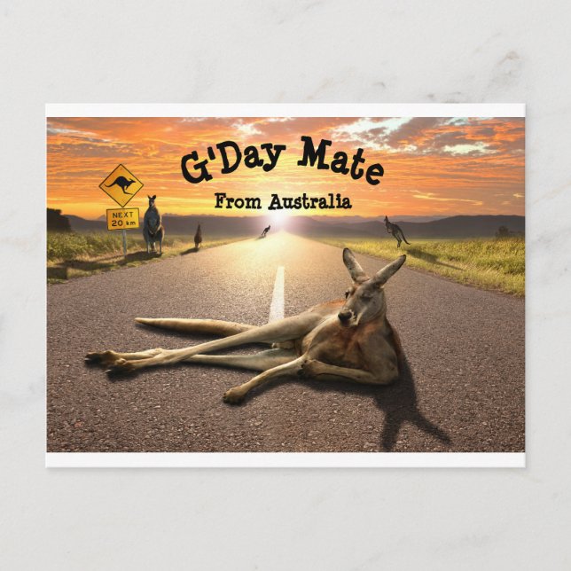 Aussie Kangaroo Postcard (Front)