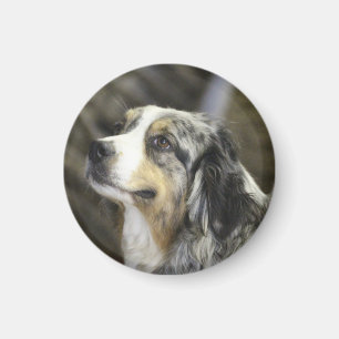Aussie  magnet