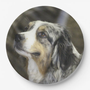 Aussie paper plate