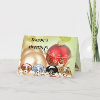 Aussie Puppies with Ornaments Holiday Card