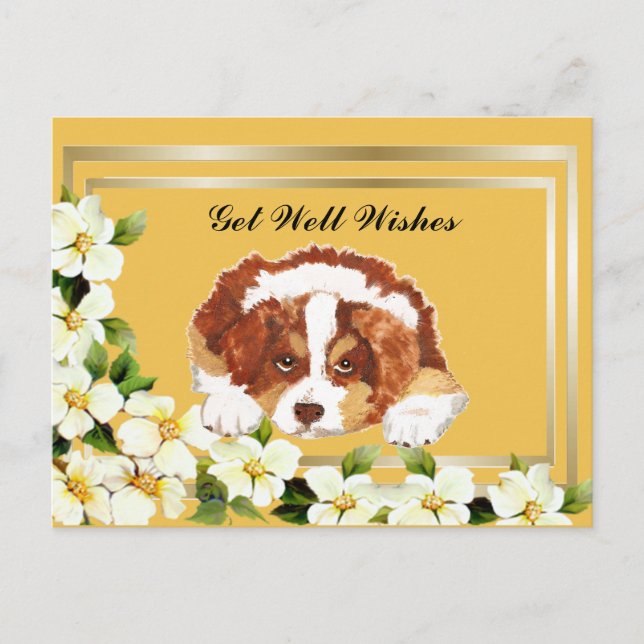 Aussie Red Tri Puppy Get Well Postcard (Front)
