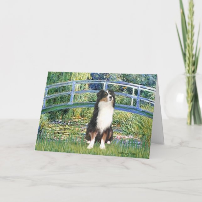 Aussie Shep (Tri2) - Bridge Card (Front)