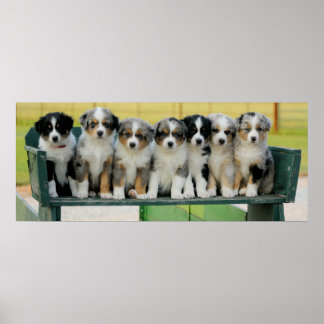 Aussie Wagon Fun Poster