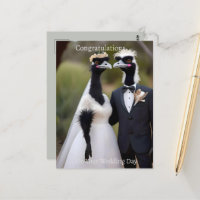 Aussie Wedding Australian Emus, Wedding