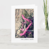 Austin 360 Loop Pink Trimmed Cedar Tree