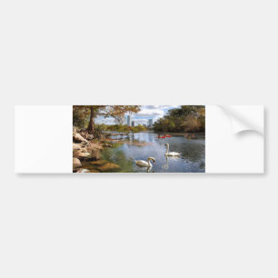 Austin, Texas Barton Creek / Ladybird Lake Swans Bumper Sticker