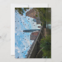 Austin Texas Bats