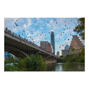 Austin, Texas Bats Photo Print