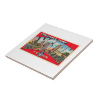 Austin Texas TX Vintage Large Letter Postcard