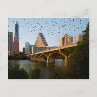 Austin, Texas with Bats Postcard