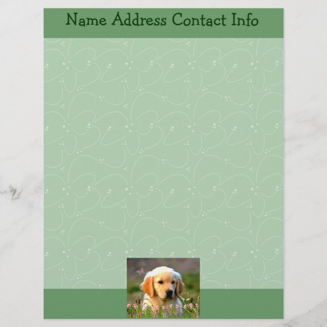 Austin The Golden Labrador Customized Letterhead (Front)
