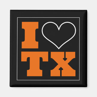 Austin (TX) Football Watch Party Fridge Magnet