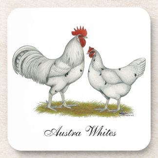Austra White Chickens Coaster