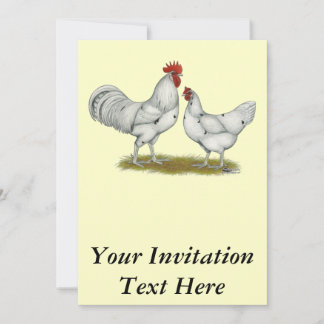Austra White Chickens Invitation