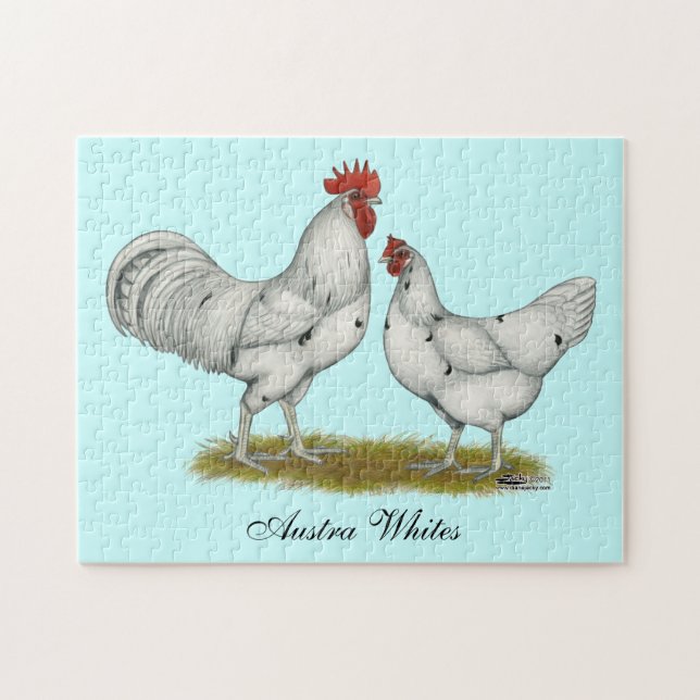 Austra White Chickens Jigsaw Puzzle (Horizontal)