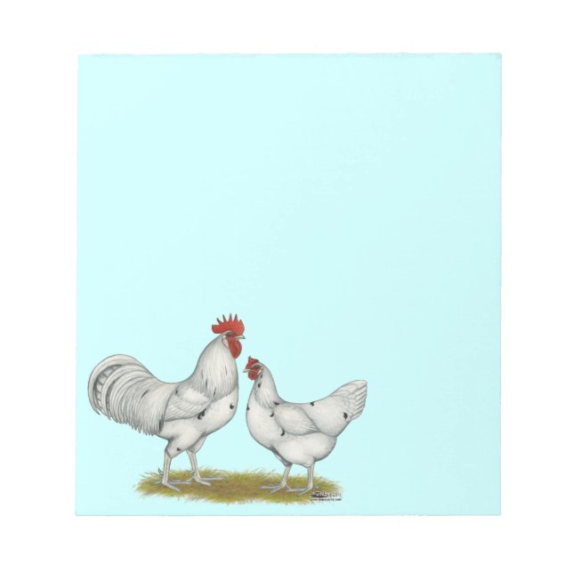 Austra White Chickens Notepad (Front)