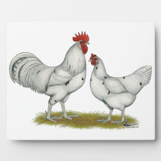 Austra White Chickens Plaque