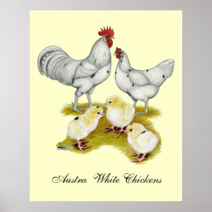 Austra White Family Poster