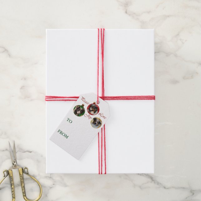 Australain Shepherd Christmas Gift Tags (With Twine)