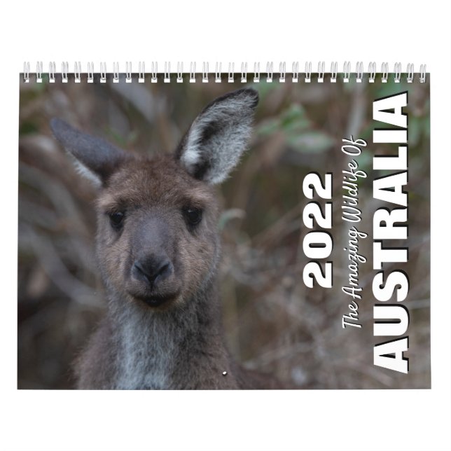 Australia 2025 Wildlife Animal Photo Calendar (Cover)