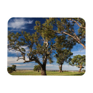 Australia, Barossa Valley, Mount Pleasant Magnet