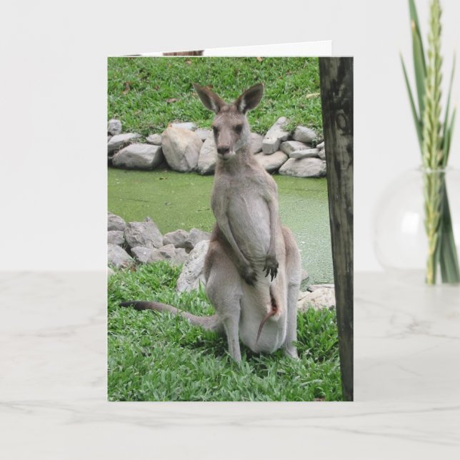 Australia Beckons - Kangaroo Birthday Card (Front)