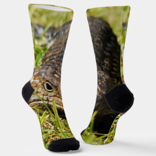 Australia Blue Tongue Shingleback Lizard Crew Sock