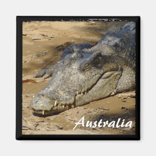 Australia, Crocodile, Bush (Magnet) Magnet