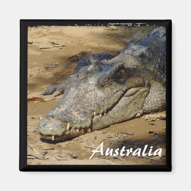 Australia, Crocodile, Bush (Magnet) Magnet (Front)
