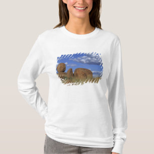 Australia, Devil's Marbles. Spherical sandstone T-Shirt