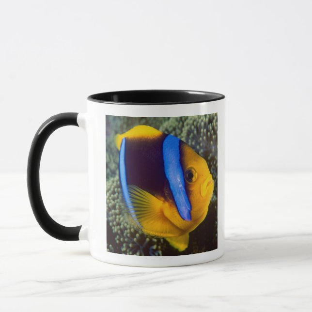 Australia, Great Barrier Reef, Anemonefish Mug (Left)