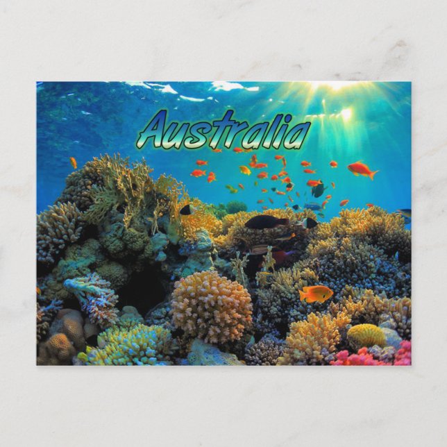 Australia Great Barrier Reef stylised Postcard (Front)