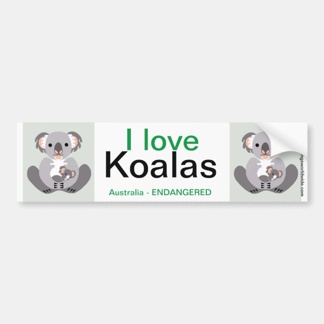 Australia-  I love KOALAS -Unique Wildlife Bumper Sticker (Front)