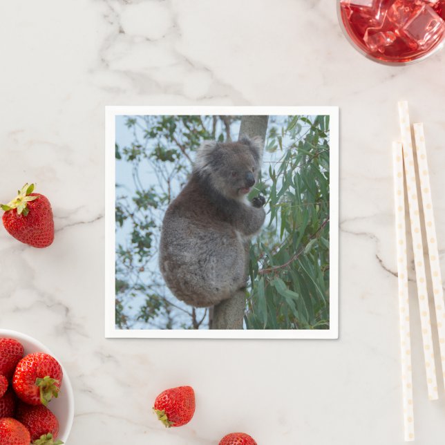 Australia Kangaroo Island Cute Koala in a Tree Napkin (Insitu)