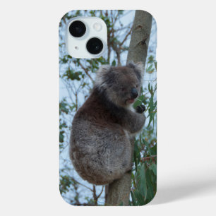 Australia Kangaroo Island Koala in a Tree iPhone 15 Case