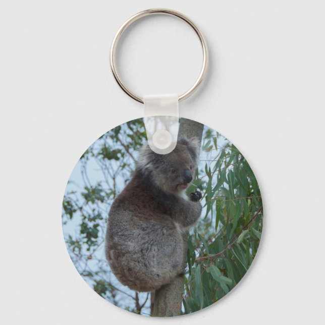 Australia Kangaroo Island Koala in a Tree Key Ring (Front)