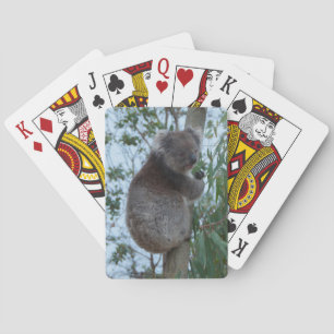 Australia Kangaroo Island Koala in a Tree Playing Cards