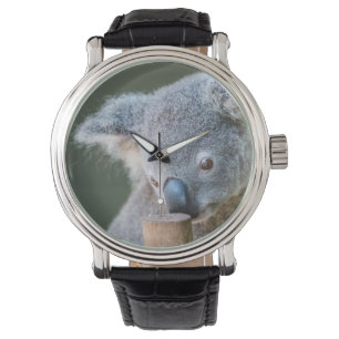 Australia Koala Bear Classic watch