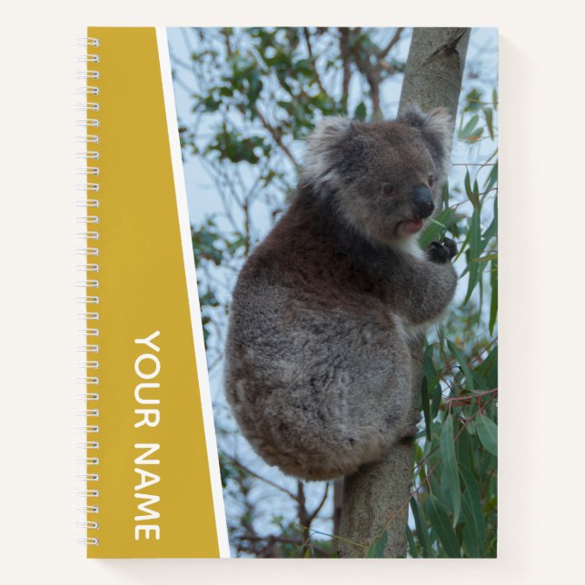 Australia Koala in a Eucalyptus Tree, Gold Notebook (Front)