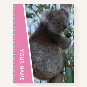 Australia Koala Portrait Photo, Pink Girls Notebook