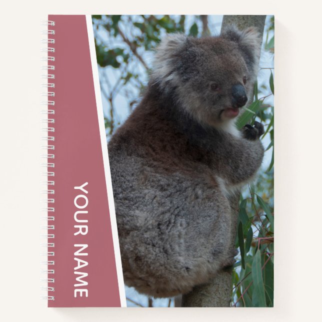 Australia Koala Portrait Photo, Rose Gold Notebook (Front)