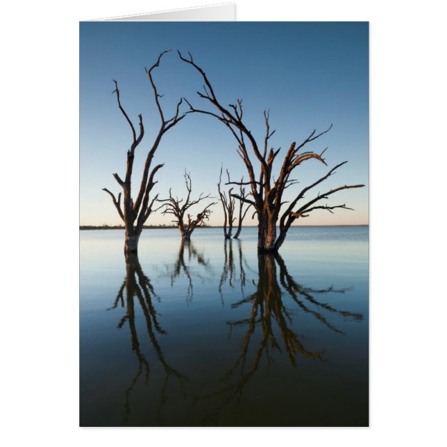 Australia, Murray River Valley, Barmera, Lake (Front)