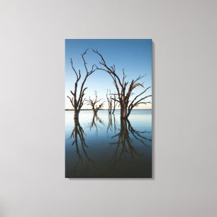 Australia, Murray River Valley, Barmera, Lake Canvas Print